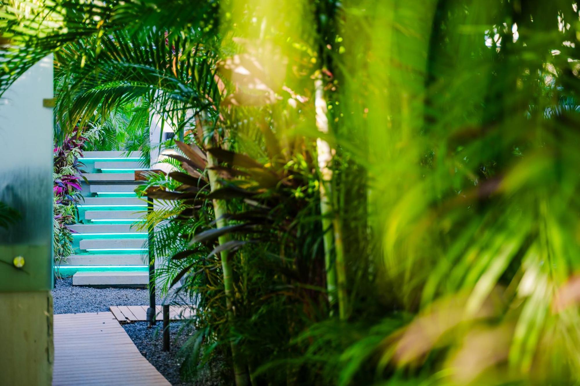 Mvillas Luxury Villas With Beach Club Access & Sauna Tamarindo Bagian luar foto